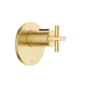 Dornbracht TARA xTOOL Concealed thermostat w.out volume control 3/4 Brushed Dur