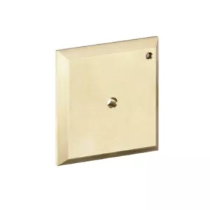 Hansgrohe Flushing plate iControl manuell 15956000