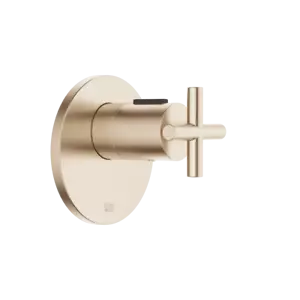 Dornbracht TARA xTOOL Concealed thermostat w.out volume control 1/2 Brushed Cha