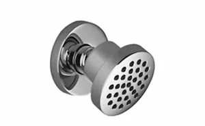 Dornbracht body spray 28518979-06 Platinum Matt