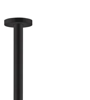 Hansgrohe ceiling connection S DN15 300mm 27389670