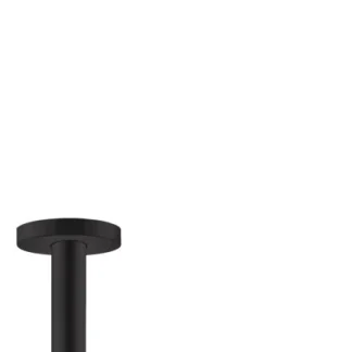 Hansgrohe Ceiling fitting S DN15 100mm 27393670