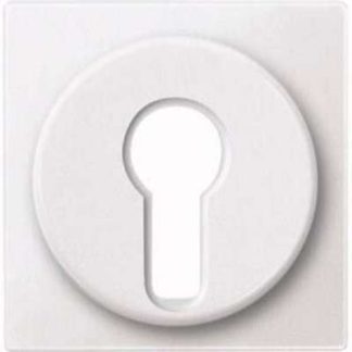 Центральный полярный пластинчатый белый фиксирующий тумблер 318119