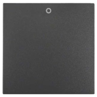 Накладка на переключатель/кнопку Rocker anth matte с принтом 0 - 16221606