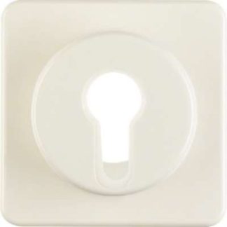 Белая центральная деталь для выключателя зажигания - накладка для выключателя/кнопки 1...