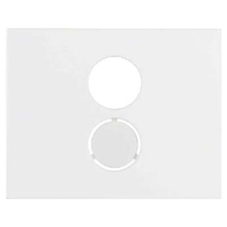 Центральный элемент pws f. корпус динамика - Центральная крышка 11847009