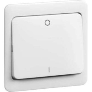 Переключатель-качелька чисто белого цвета - Защитная накладка для переключателя/кнопки D 80.642.02