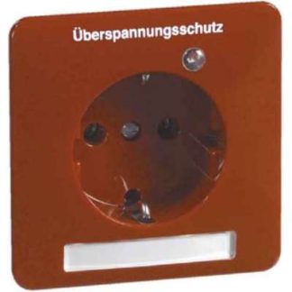 Розетка - Комбинированный выключатель/настенная розетка D 80.6611 ÜS/25 Вт