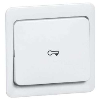 Символ кнопки DOOR rws - Крышка переключателя/кнопки белая D 80.640.02 T