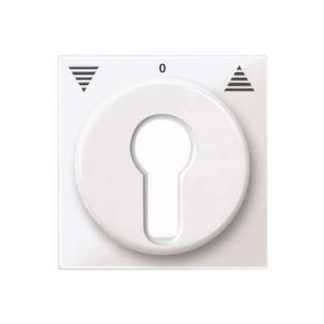 Центральная пластина pws/gl для наружных рольставней - Крышка выключателя/кнопки белая 319419