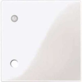 Центральная пластина Polar White/Glossy для кнопки-защелки 450719