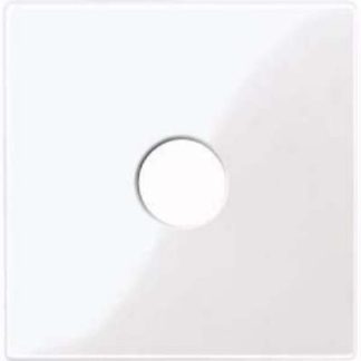 Центральная пластина арктического белого/глянцевого цвета для соединительного блока 451825