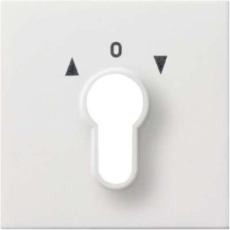 Центральная пластина, чисто белая глянцевая, для замка зажигания 0664112