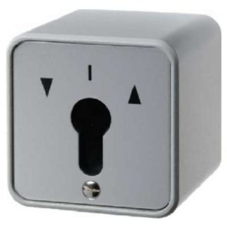 Выключатель с ключом, 2 шт. AP - 2-полюсный выключатель для рольставней 4462