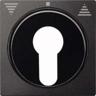 Центральная пластина антрацитового цвета для вставки рольставни - Крышка для выключателя/кнопки 319314