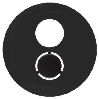 Центральный элемент черно-бело-стеклянный для динамиков - Центральная крышка 11962045