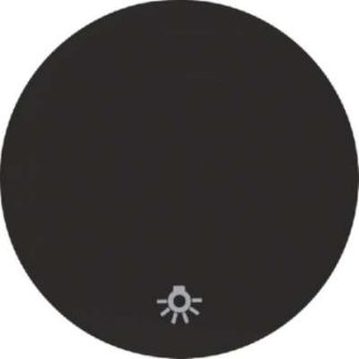 Накладка на переключатель/кнопку, черная/глянцевая, со светлым рисунком, 162...