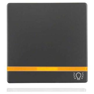 Накладка на переключатель/кнопку Rocker anth/sa 2 lens/symbolic light 16216076