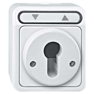 Сенсорный/защелкивающийся переключатель для затвора. Светло-серый, 2-полюсный переключатель и MEG3717-8029.