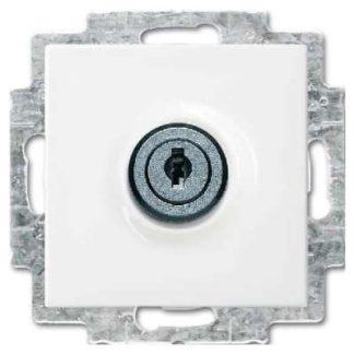 Вставка для розетки SCHUKO, альпийский белый - Розетка ( 20 EUKBSL-914