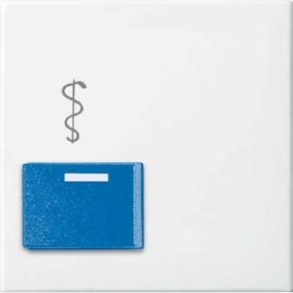 Световые и звуковые системы Central Alpine Plate White 2548-022 AR-914