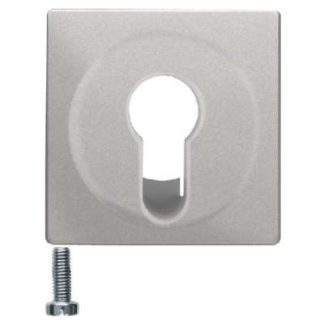 Центральный переключатель/кнопка из алюминия/лака - Крышка 15076084