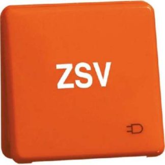 Розетка - Комбинированный выключатель/настенная розетка D80.6611K WU OR ZSV