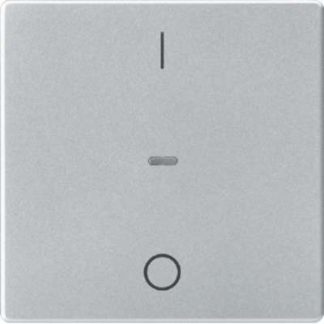 Крышка модуля кнопки, алюминиевая, односекционная - Защитная пластина для переключателя/кнопки 80962221