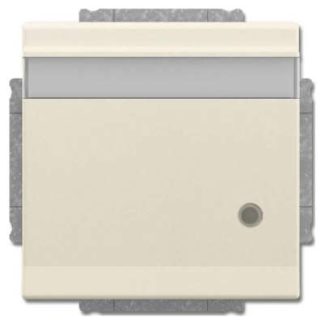 Вставка розетки SCHUKO цвета слоновой кости - Розетка ( 20 EUKNBL-82