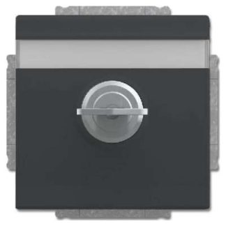 Вставка для торцевого ключа SCHUKO, антрацитового цвета - Торцевой ключ (20 EUKNBSL-81)