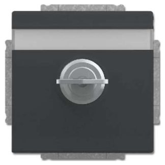 Вставка для торцевого ключа SCHUKO антрацитового цвета - Торцевой ключ ( 20 EUKNBSL-81-101