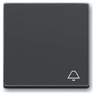 Накладка на переключатель/кнопку 2520 KI-81 с антрацитовым принтом.