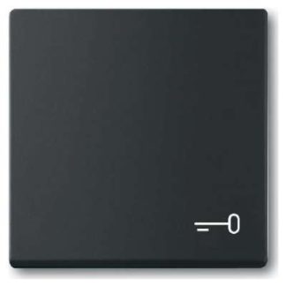 Накладка на кнопку переключателя с матовым черным покрытием и принтом / черная 2520 TR-885