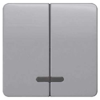 Переключатель/кнопка 5TG7938, профиль DELTA, серебристый, с окошком для кнопки.