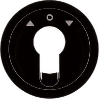 Черная/глянцевая центральная часть для выключателя зажигания 15062045