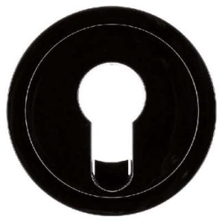 Черно-белая центральная пластина для замка зажигания 15072045