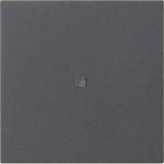 Крышка радиоуправления, антрацит - Интеллектуальный элемент управления в цвете антрацит 549528