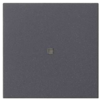 Однокнопочный переключатель антрацитового цвета - Крышка переключателя антрацитового цвета 537128