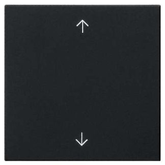 Однопозиционный переключатель, черный - Крышка переключателя, черная 5389005