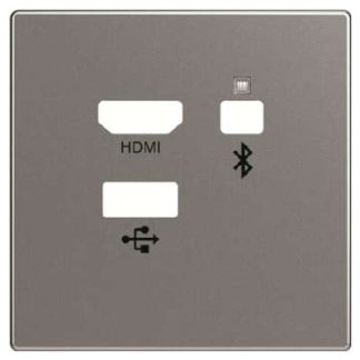 Центральный диск разъема для медиаустройств - Центральная крышка 8256-866