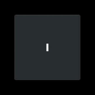 Переключатель с полем описания - Крышка переключателя/кнопки черная 1789 N-45M