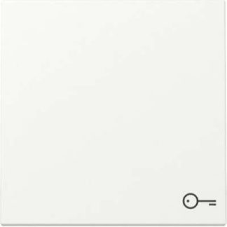 Дверь с символом качающегося механизма, чисто матовый белый цвет - Накладка на выключатель/кнопку 328727