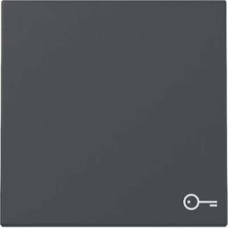 Антрацитовая дверная панель с символом переключателя/кнопки - накладка на выключатель/кнопку 328728