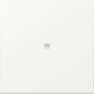 Панель управления с переключателями, матовый белый цвет - накладка на переключатель/кнопку 329027