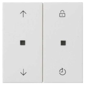 Блок управления RWS Memory - Интеллектуальный элемент управления, белый, 536327