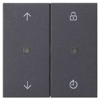 Блок управления с памятью, антрацитовый - Интеллектуальный элемент управления, антрацитовый 536328