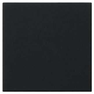 Рабочий модуль расширения sw S3000 - Интеллектуальный элемент управления, черный 5360005