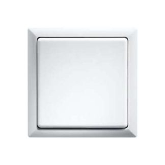 Однокадровый белый R1F-rw