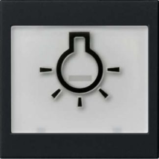 Накладка на переключатель/кнопку, черная, с символом BSF+Light, артикул 0216005