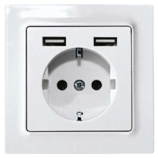 Розетка с защитными контактами, чисто белого глянцевого цвета - Розетка (DSS55E+2xUSBA-wg)